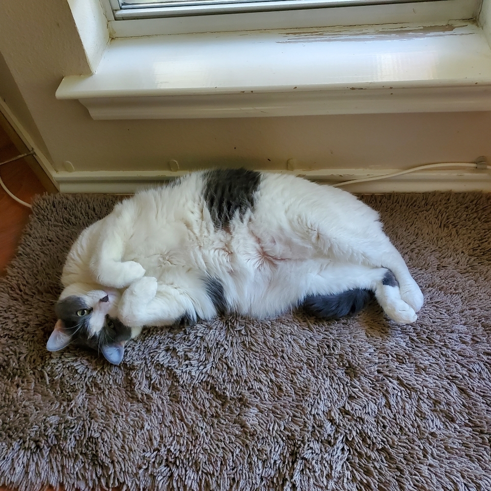 Meet your Posher, Wendy